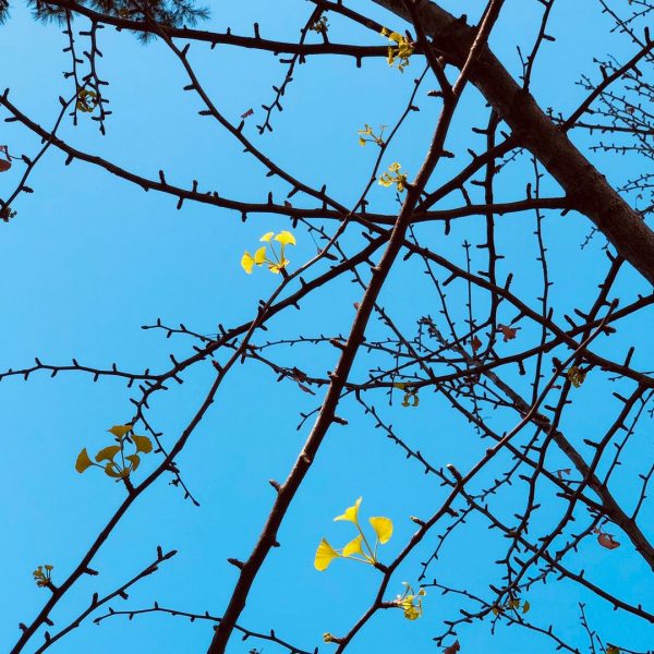 Am I Growing or Staying the Same?